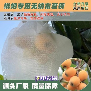 ✨桃園出貨💎枇杷套袋無紡布袋子防蟲防果蠅套果袋防雨透氣瓜果枇杷果袋專用袋