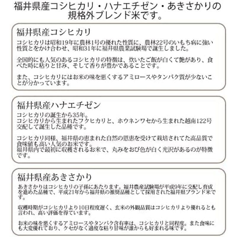 福井県産福井米 白米 令和4年産 (20kg)