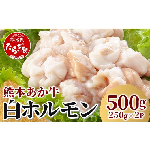 ふるさと納税 熊本県 多良木町 熊本あか牛 白ホルモン （250g×2パック）計500g 冷凍真空パック 【 熊本 熊本県産 あか牛 冷凍 真空 もつ鍋 ホルモン 焼き肉 …