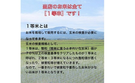 北海道 定期便 3ヵ月連続3回 令和5年産 ななつぼし 無洗米 4.5kg×2袋 特A 米 白米 ご飯 お米 ごはん 国産 ブランド米 時短 便利 常温 お取り寄せ 産地直送 送料無料