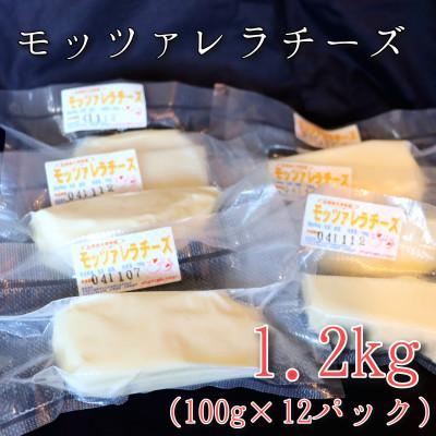 ふるさと納税 せたな町 モッツァレラチーズ12個(1.2kg)セット　大津牧場の搾りたてミルクで作ったチーズ