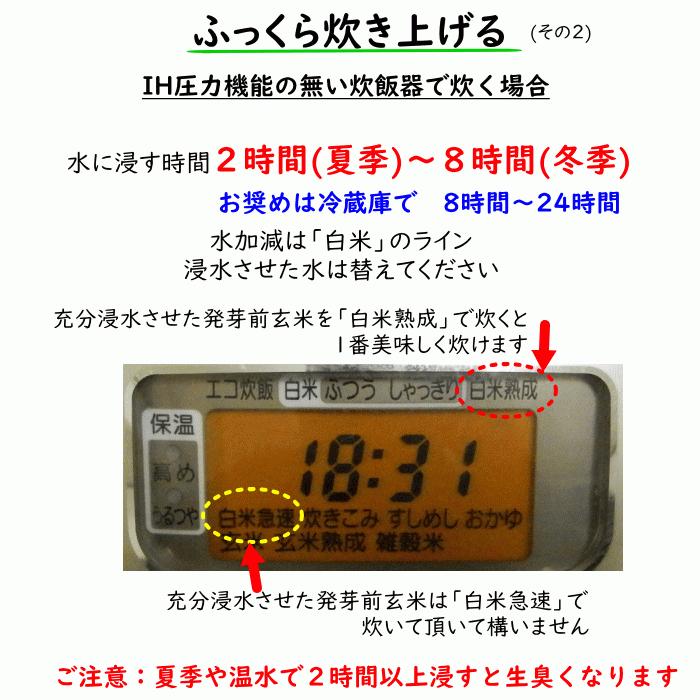 無農薬 無肥料 発芽前玄米10Kg 福岡県産 令和5年度産 元気つくし 0.5分づき米 発芽玄米 筑後久保農園 自然栽培米