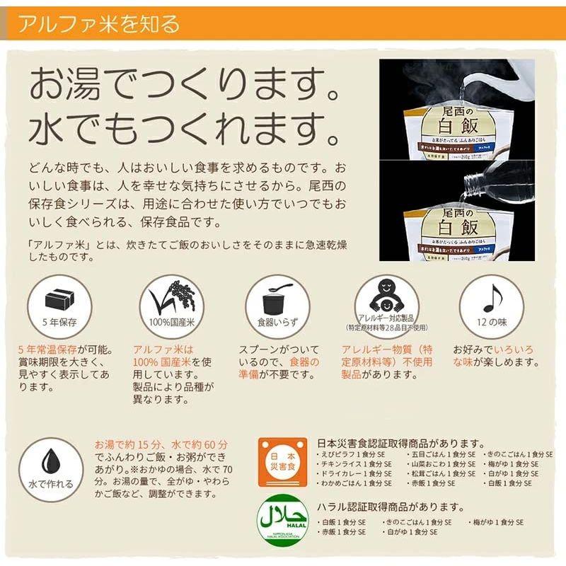 尾西食品 アルファ米 オニシのビリヤニ 1食分80g×10個