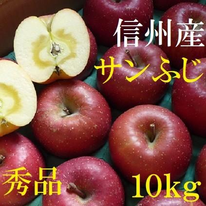 長野産　サンふじ　秀品　約10kg　20玉〜32玉　産地直送　ご贈答、御歳暮に