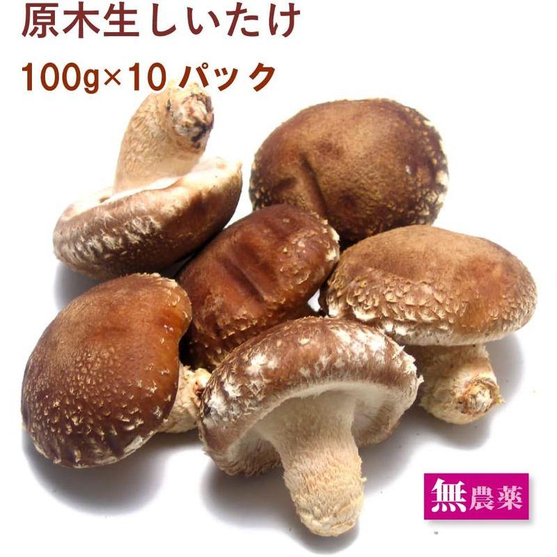 原木栽培 生椎茸 5?6枚入×10パック