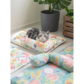 芝小麻 手繪水彩 夏季涼感靠枕貓窩夏天ins水果四季通用睡墊涼窩