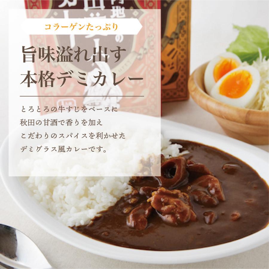 秋田美人カレーペアセット（ネコポス商品）