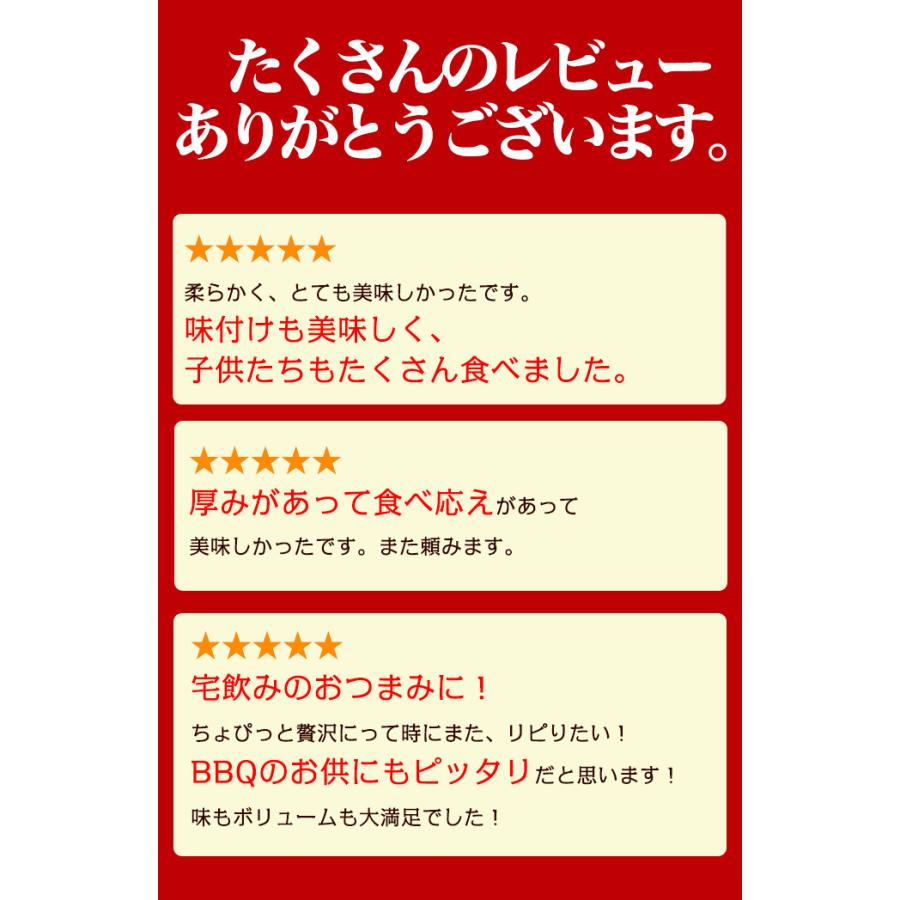 ハラミ 肉 はらみ 訳あり bbq バーベキュー 焼肉 焼き肉 牛肉 ギフト 本格 厚切り タレなし 300g