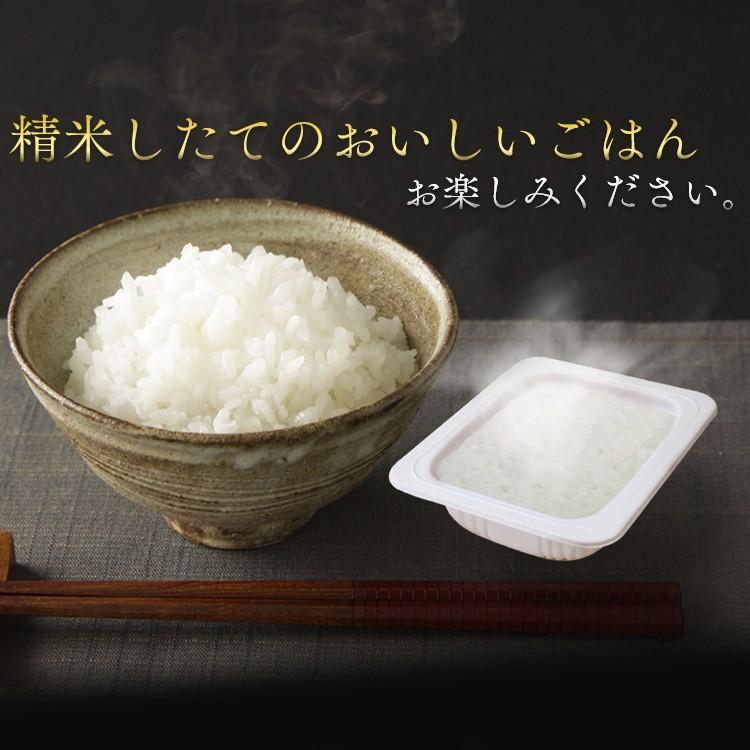 パックご飯 150g×60食パック アイリスオーヤマ レトルトご飯 パックごはん 低温製法米 お米 非常食 防災 仕送り 国産米