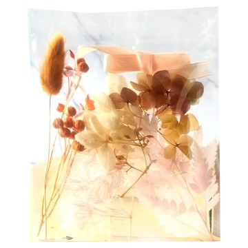 A-ONE 匯旺 浮游花DIY花材包 Set 天然植物乾燥花 12 x 12 CM  橙金流光