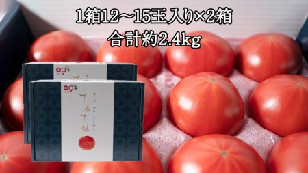 スーパーフルーツトマト てるて姫 中箱  約1.2kg×2箱  糖度9度以上 ブランドトマト フルーツトマト トマト とまと [BC034sa]