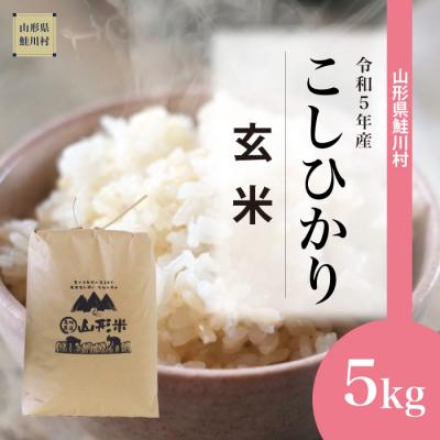 ふるさと納税 鮭川村 令和5年産　鮭川村コシヒカリ5kg(5kg×1袋)