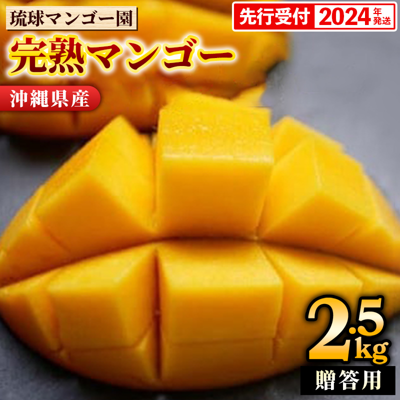 樹上完熟！琉球マンゴー園の完熟アップルマンゴー約2.5kg（贈答用 大玉４玉）