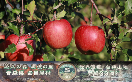 年内出荷：西目屋産りんご サンふじ 約10kg（B-1）