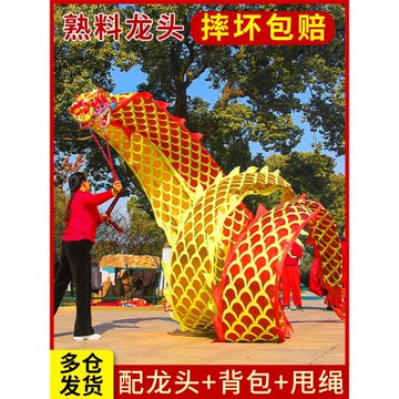 舞龍彩帶健身健身龍帶甩彩帶舞龍甩龍帶龍頭彩帶耍龍中老年人健身