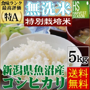 [売り尽くし特価] 無洗米 特別栽培米 新潟県 魚沼産 コシヒカリ5kg  令和4年産  特Ａ獲得米 [翌日配送] 送料無料 北海道沖縄へは別途送