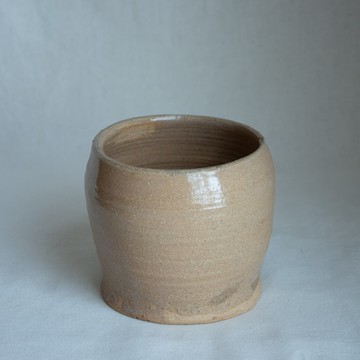 盆器 陶器 植物