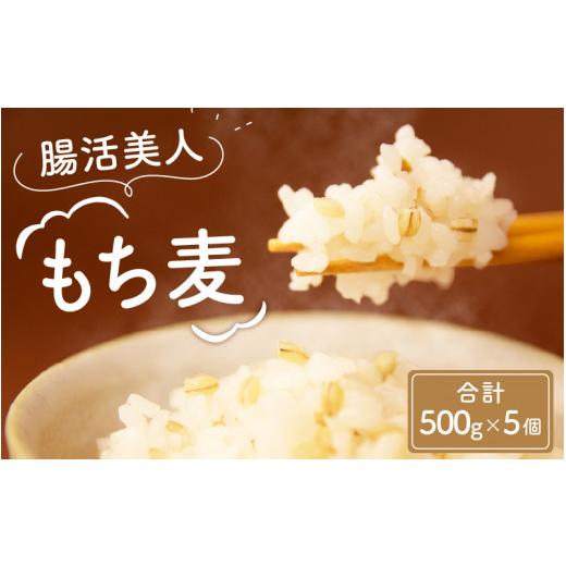 ふるさと納税 福井県 福井市 腸活美人 福井産六条大麦もち麦 5個セット[A-034003]