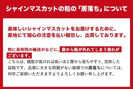 訳あり シャインマスカット 岡山 約2kg 3～5房 お届け フルーツ 果物 岡山県産 秋旬 数量 限定 2房 シャイン マスカット 訳あり 傷 大粒から小粒まで不揃い 《9月中旬～11月中旬頃に順次出荷(土日祝除く)》 ---ofn_cwsm_q911_23_18000_2kg---