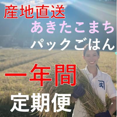 ふるさと納税 湯沢市 あきたこまちレトルト玄米ごはん1年間定期便[E2303]