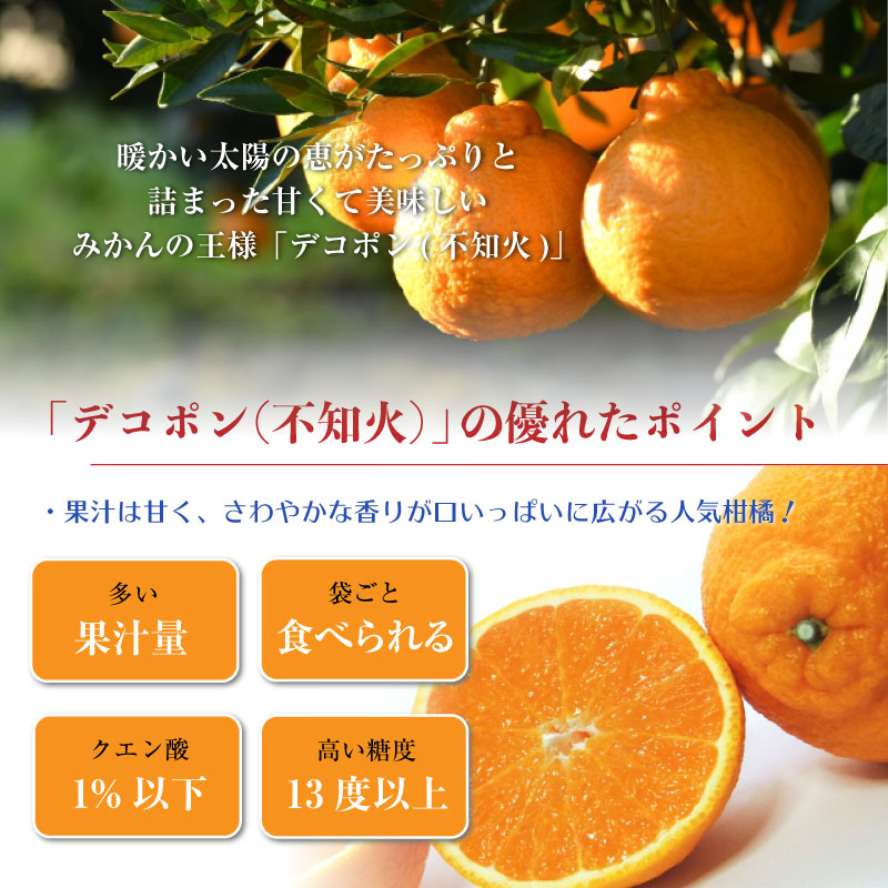 [予約 2024年1月4日-1月15日の納品] デコポン 不知火 約1.5kg 佐賀県産 お年賀 御年賀