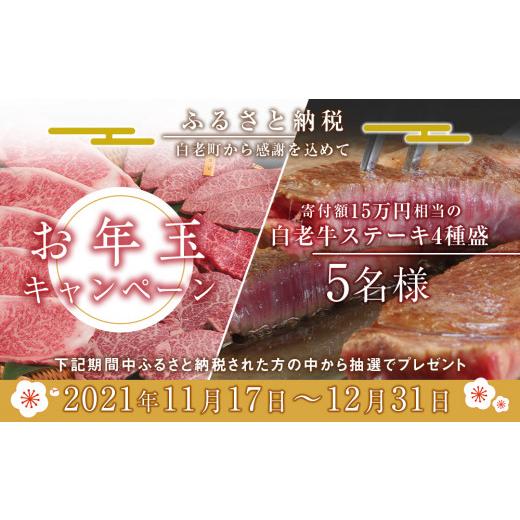 ふるさと納税 北海道 白老町 業務用ケース入り！冷凍毛がに 大サイズ6尾（1尾650g前後）