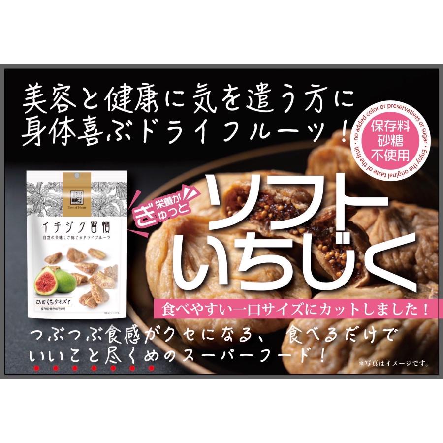 イチジク習慣 お試し2袋セット ひとくちサイズ ドライいちじく 保存料・着色料不使用