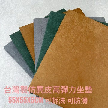 【騰源織品｜24hr出貨】台灣製仿麂皮高彈力坐墊 沙發坐墊 可拆洗 尺寸約55x55x5cm 共三色