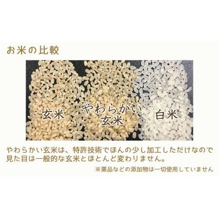 ふるさと納税 やわらかい玄米 900g ※12回定期便 安心安全なヤマトライス H074-534 愛知県碧南市