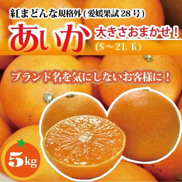 紅まどんな規格外 あいか ５kg S〜4Lサイズ 大きさおまかせ 訳あり・ご家庭用 フルーツ 愛媛産 愛媛果試28号 送料無料