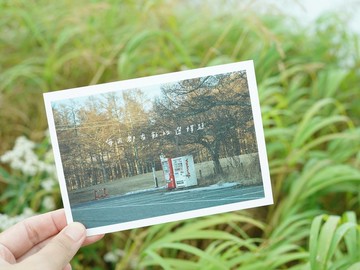 新選擇題/ Magai's postcard