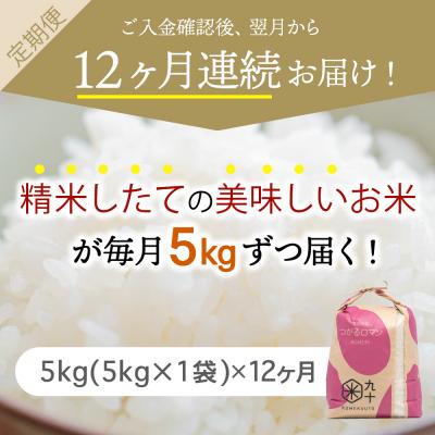 ふるさと納税 五所川原市 米 5kg つがるロマン 青森県産  定期便12回 5kg×12回