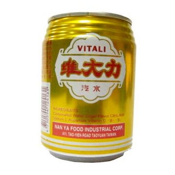 維大力汽水易開罐/250ml/24入