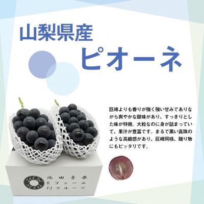 ふるさと納税 山梨市 厳選!!池田青果のピオーネ　2房 ふるさと納税