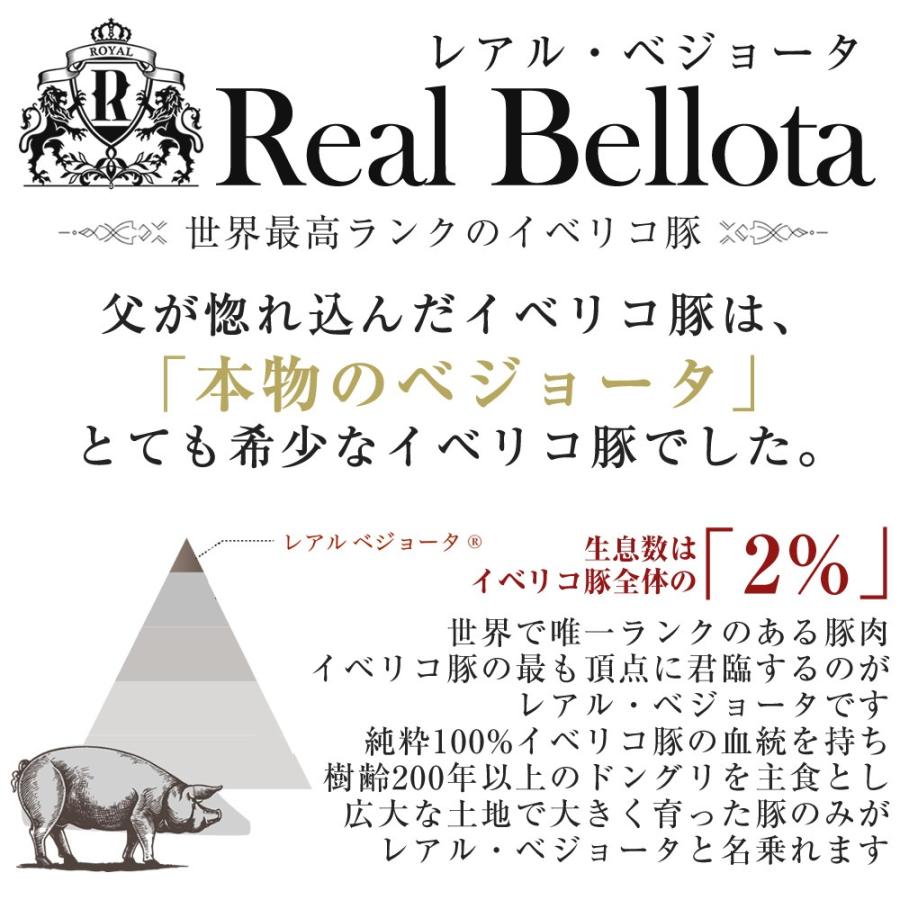 お歳暮 肉 ギフト 御歳暮 2023 おつまみ イベリコ豚 生ハム 5種 人気 おしゃれ 食品 プレゼント ハム 冷蔵