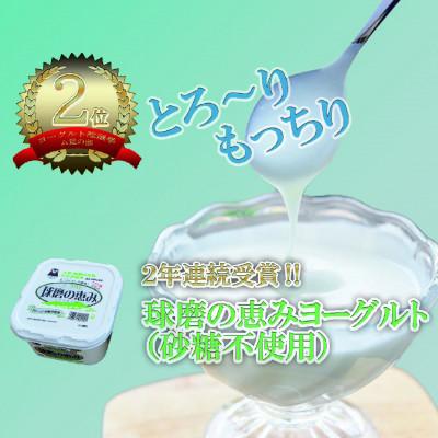 ふるさと納税 湯前町 とろ〜りもっちり!球磨の恵みヨーグルトセット(加糖・砂糖不使用各1kgx2個　計4個)