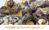 新鮮な魚からつくった味噌 セット ＜ 渉水産 ＞