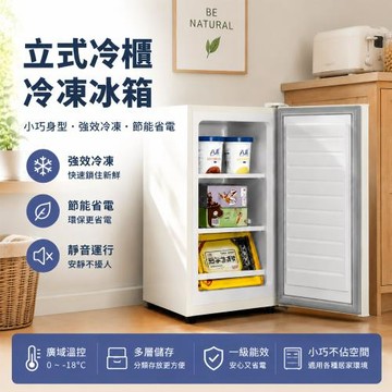 69L冷凍櫃 直立式冷凍冰箱 抑菌靜音 多層儲存 節能小冰櫃 家用/宿舍冷凍櫃
