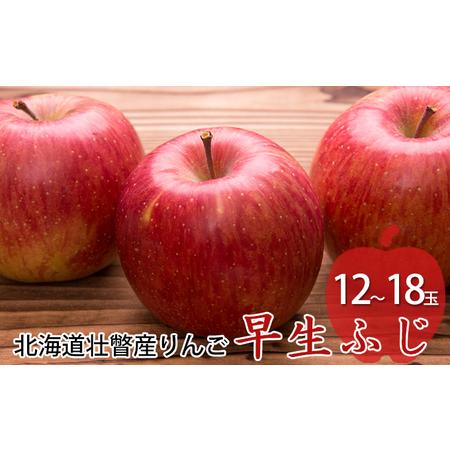 ふるさと納税 ＜2024年10月中旬よりお届け＞北海道壮瞥町　りんご　品種名「早生ふじ」12〜18玉約5kg フルーツ 果物 りんご 果樹 北海道壮瞥町