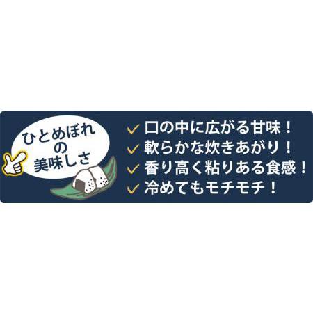 ふるさと納税 宮城県登米市産ひとめぼれ玄米　３０kg 宮城県登米市