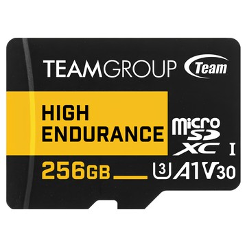 TEAMGROUP 十銓 256GB 監控記憶卡 讀寫速度100/50MB/s 穩定耐久  1個