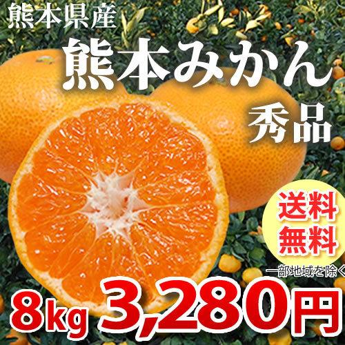 みかん 送料無料 秀品 8kg 絶品の熊本みかん ギフト 贈り物 熊本県産  2箱購入で4kgおまけ付き 極早生 早生 温州