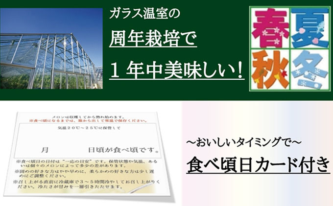 数量限定！クラウンメロン ”名人メロン” 2玉 ギフト箱入 人気 厳選 ギフト 贈り物 デザート グルメ フルーツ 果物 袋井市