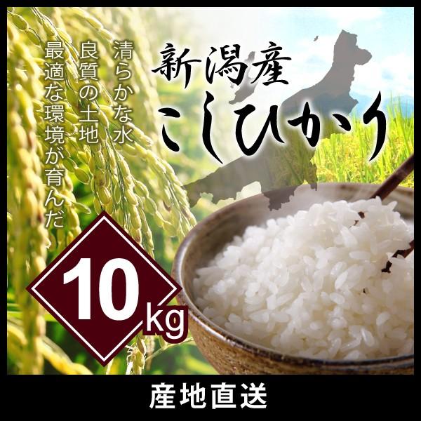 新潟県産コシヒカリ 10kg お米 ご飯 美味しい 白米