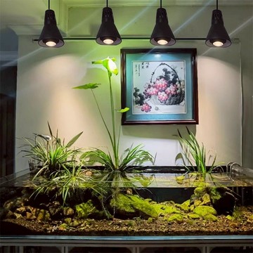 免運 植物生長燈 補光燈 LED植物補光燈調焦室內家用生長燈落地全光譜魚缸造景射多肉燈泡 快速出貨