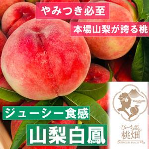 ふるさと納税 人気品種指定約2kg 5〜6玉（PMK）D4-106 山梨県甲州市