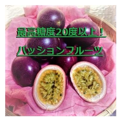 ふるさと納税 奄美市 高糖度!パッションフルーツ　約1kg