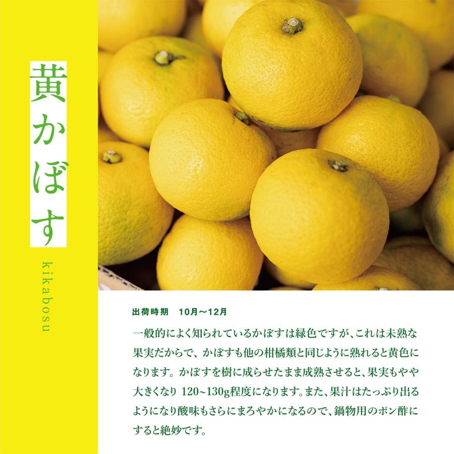 県宇佐市産 黄かぼす  約5kg 25〜35個　柑橘 産直 お取り寄せ