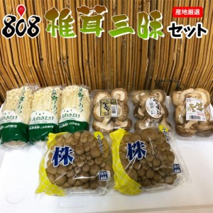 椎茸三昧セット(北海道沖縄別途送料加算)野菜詰めあわせ 野菜セット 野菜つめあわせ 詰め合せ 野菜宅配 きのこ 