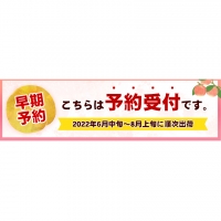 桃 もも あら川の桃 和歌山県産 紀州 の名産 旬の桃厳選 約4kg 12-15玉入り 《2024年6月中旬-8月中旬頃より順次出荷》 果物 フルーツ お取り寄せ